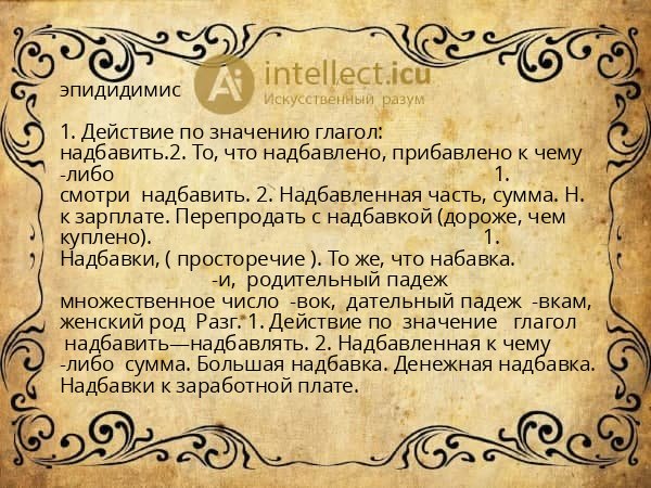 эпидидимис