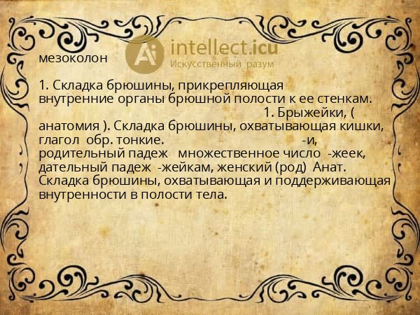 мезоколон