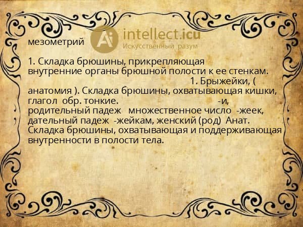 мезометрий