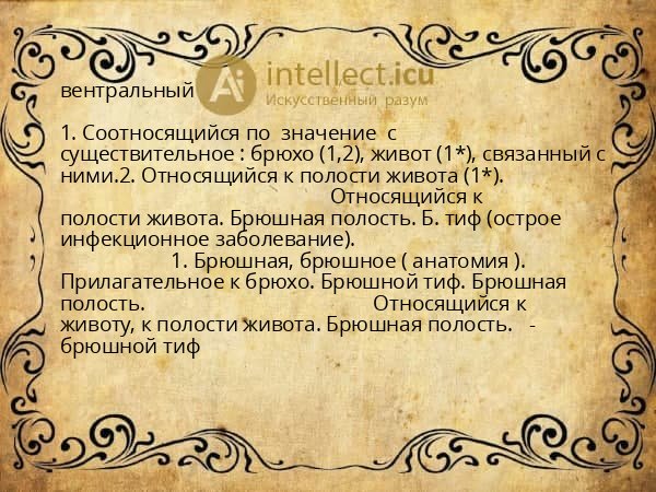 вентральный