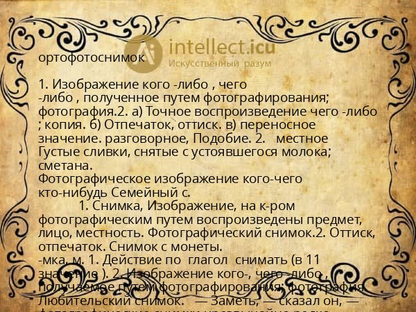 ортофотоснимок