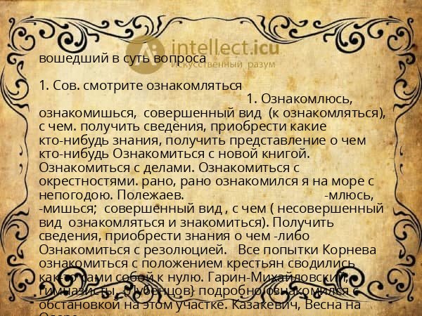 вошедший в суть вопроса