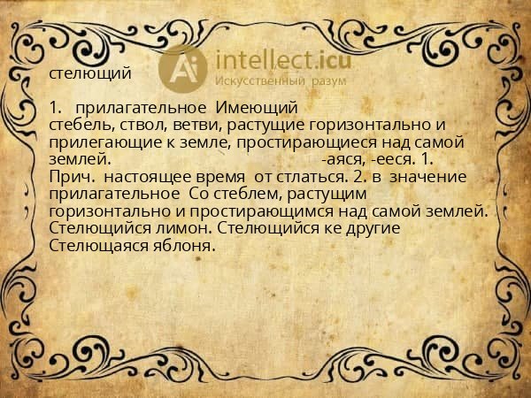 стелющий