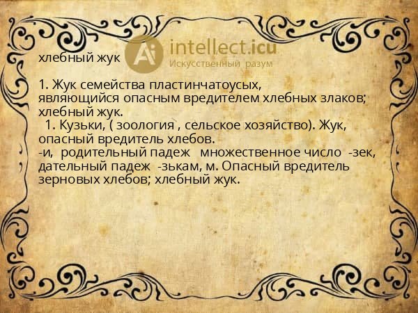 хлебный жук