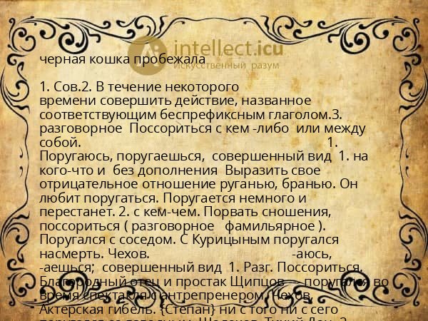 черная кошка пробежала