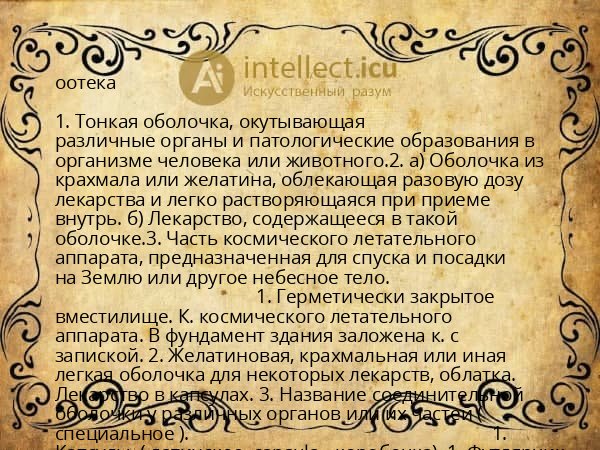 оотека