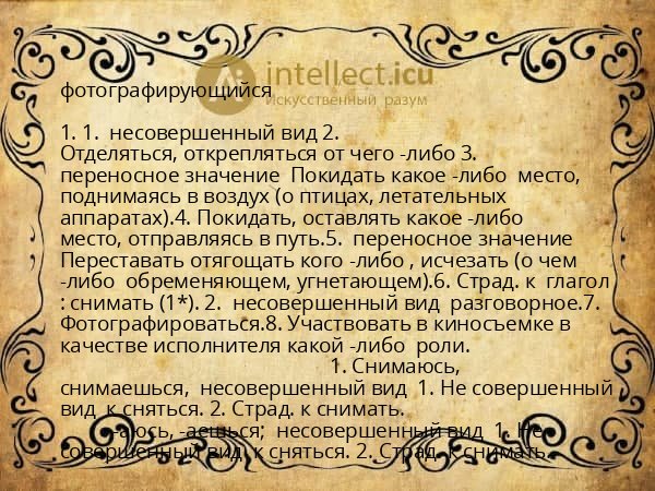 фотографирующийся