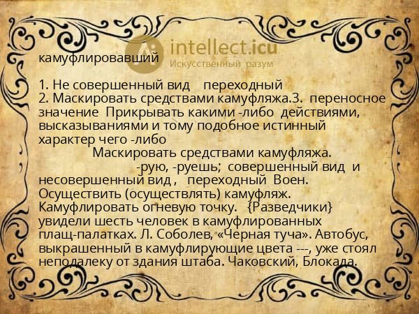 камуфлировавший