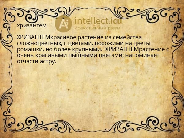 хризантем