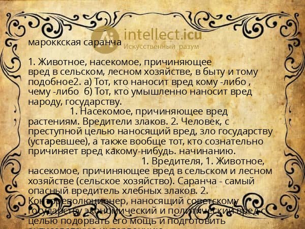 мароккская саранча