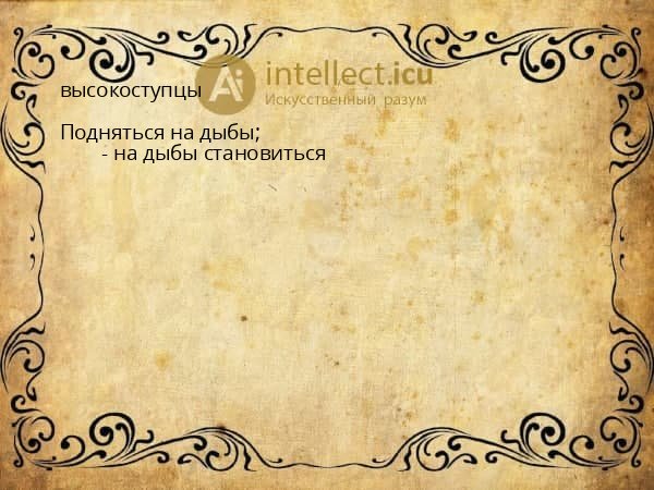 высокоступцы