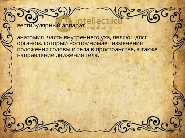 вестибулярный аппарат
