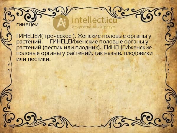 гинецеи