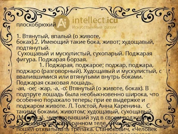 плоскобрюхий