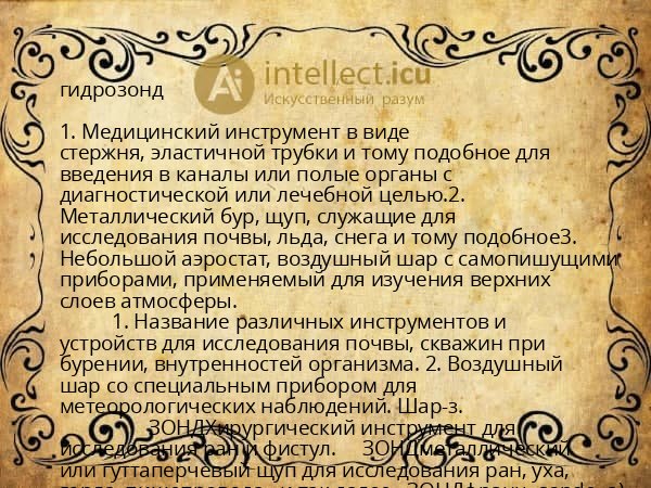 гидрозонд
