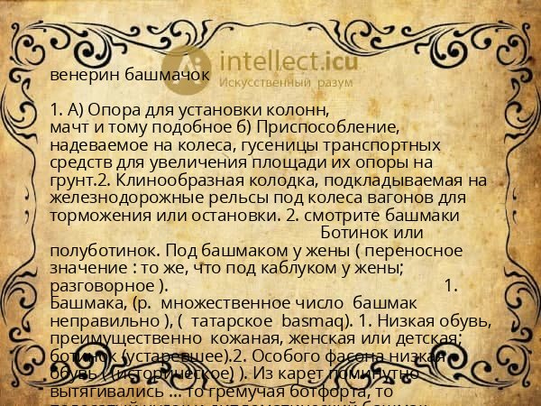 венерин башмачок