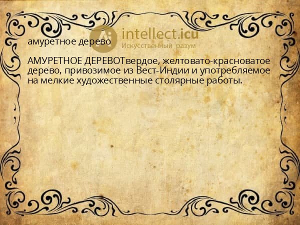 амуретное дерево