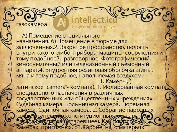 газокамера