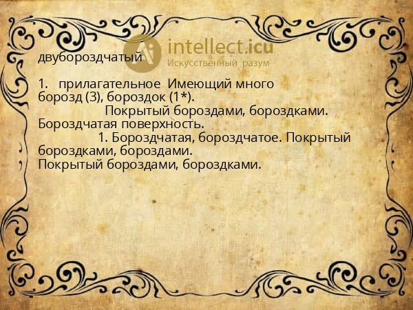 двубороздчатый