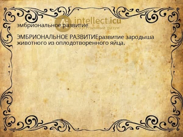 эмбриональное развитие