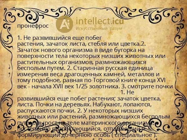 пронефрос