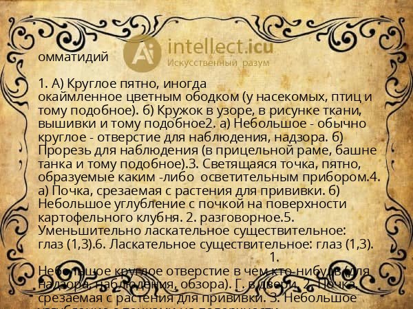 омматидий