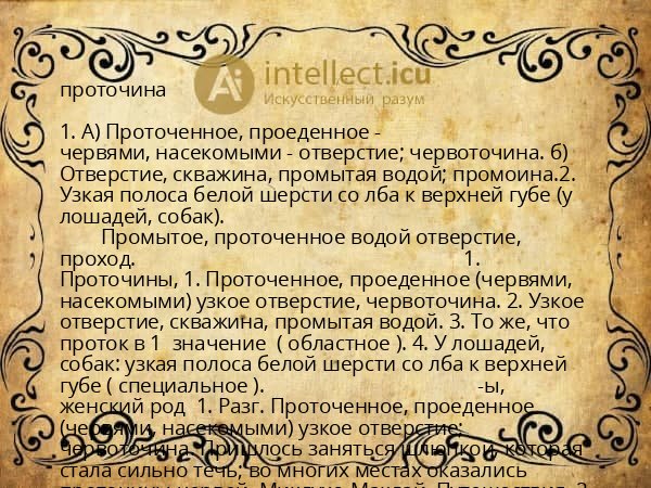 проточина