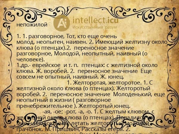 непожилой