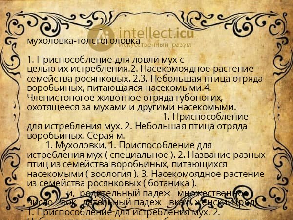 мухоловка-толстоголовка