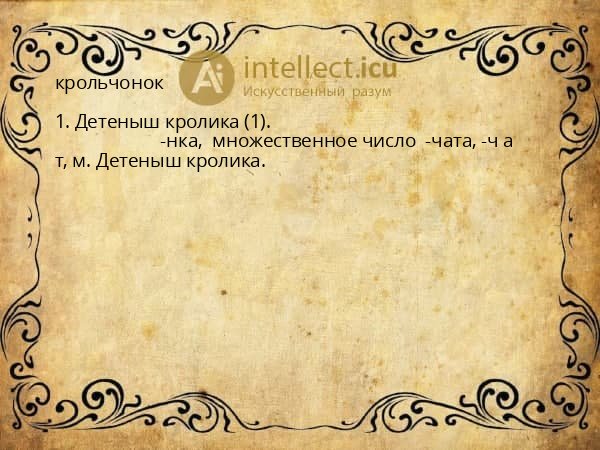 крольчонок
