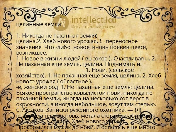 целинные земли