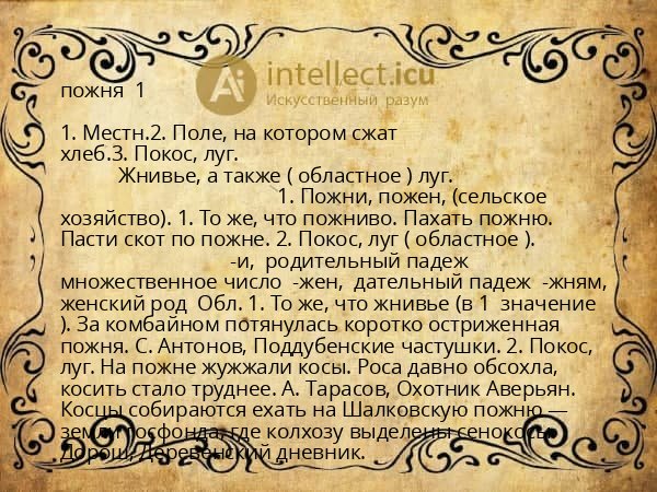 пожня  1