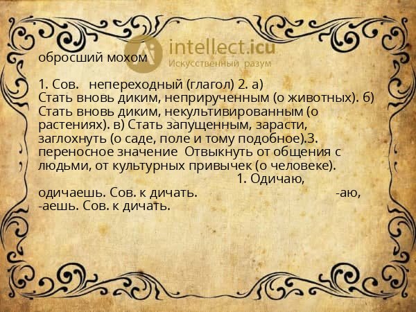 обросший мохом