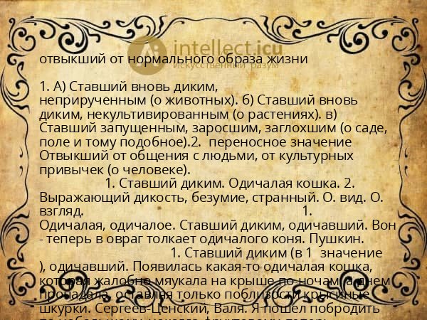 отвыкший от нормального образа жизни