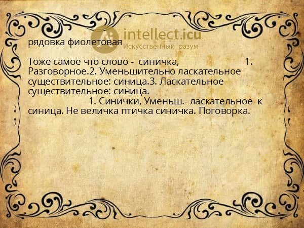 рядовка фиолетовая