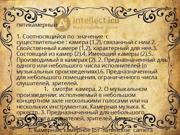 пятикамерный