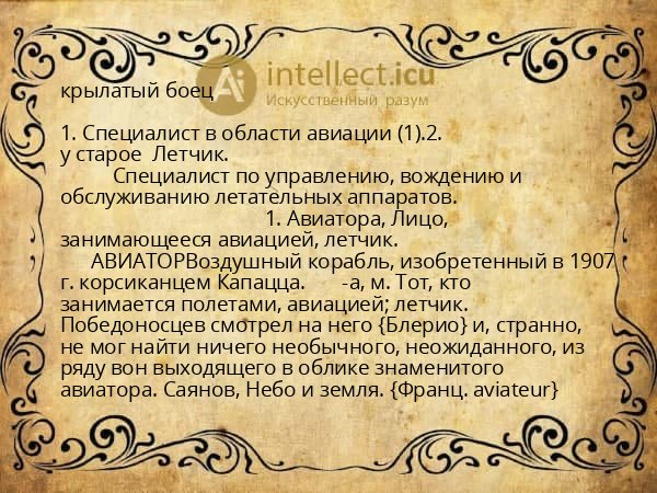 крылатый боец