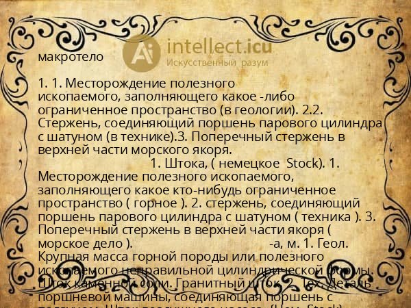 макротело