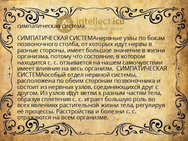 симпатическая система