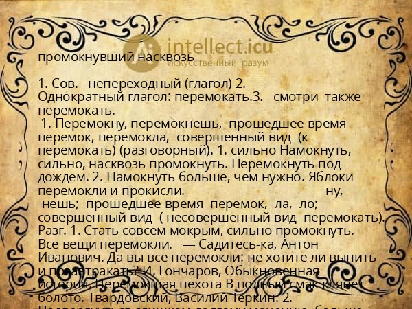 промокнувший насквозь
