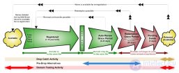 Что такое Redemption Period? когда <span class='search'>освобождается </span>домен?