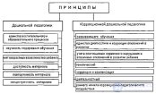 Принципы организации коррекционно-педагогической деятельности