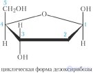 42-1. Рибоза. Дезоксирибоза