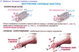 ПОСТРОЕНИЕ ЭПЮР ВНУТРЕННИХ СИЛОВЫХ ФАКТОРОВ