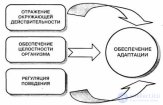 3. Понятие о психике и ее эволюции, свойства, структура