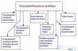 Полупроводниковые устройства