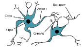 <span class='search'>Нейронные </span>сети