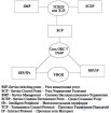 9: Некоторые виды сетей 9.1 Интеллектуальные сети связи