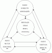 6.2.1 <span class='search'>Нововведения </span>как объект инновационного менеджмента