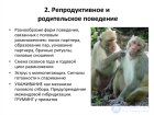 Ухаживание — поведение человека или животного, предшествующее спариванию.